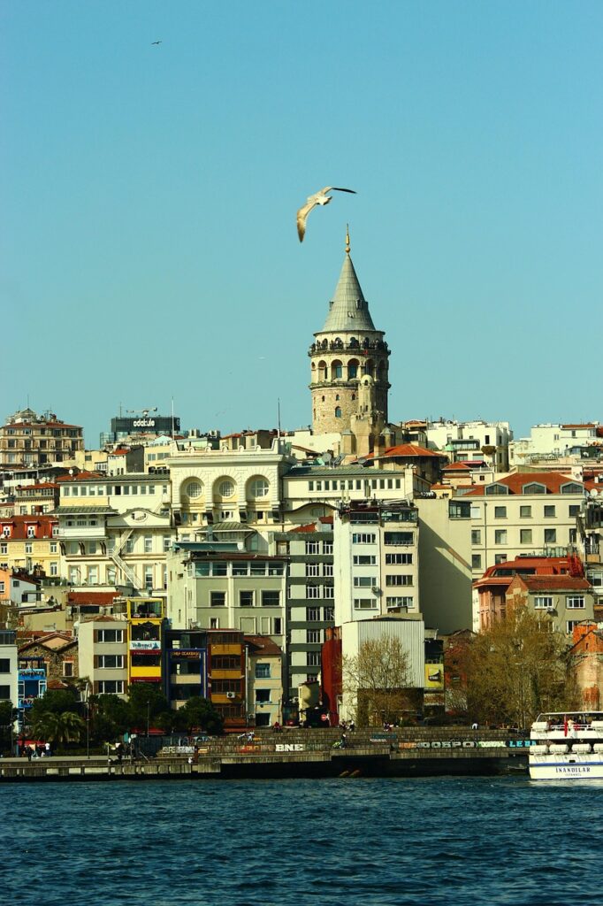 galata tower, estuary, the strait of istanbul, city, architectural, seagull