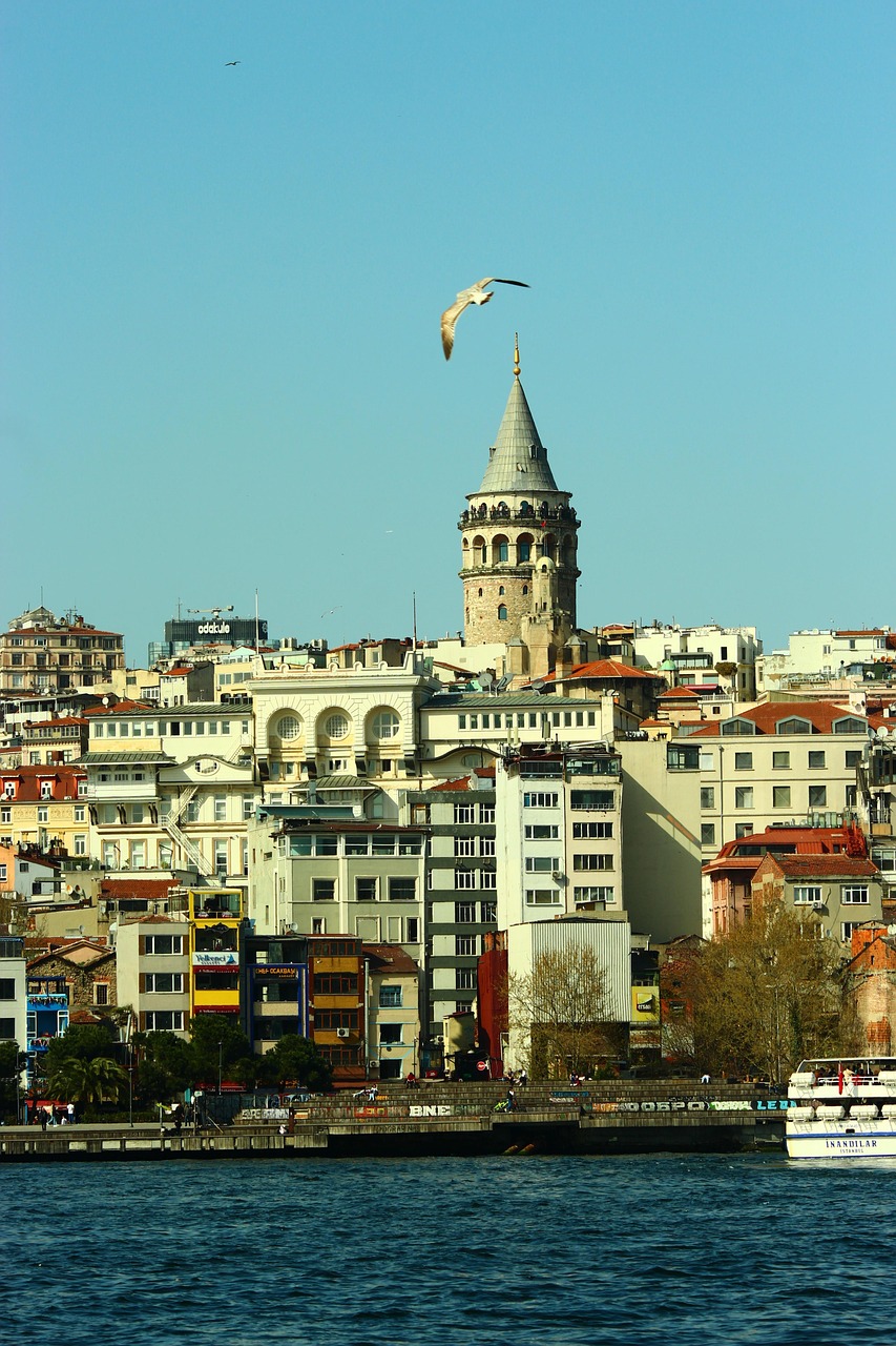 Home galata tower, estuary, the strait of istanbul, city, architectural, seagull
